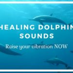 dolphin sounds in music